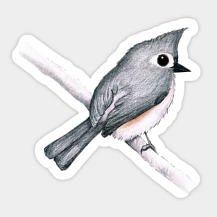 Tufted titmouse Sticker